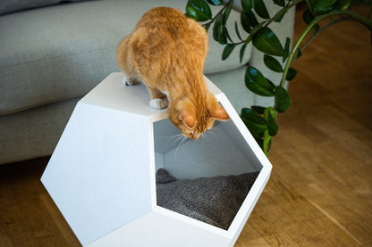 Katzenbett Polyeder