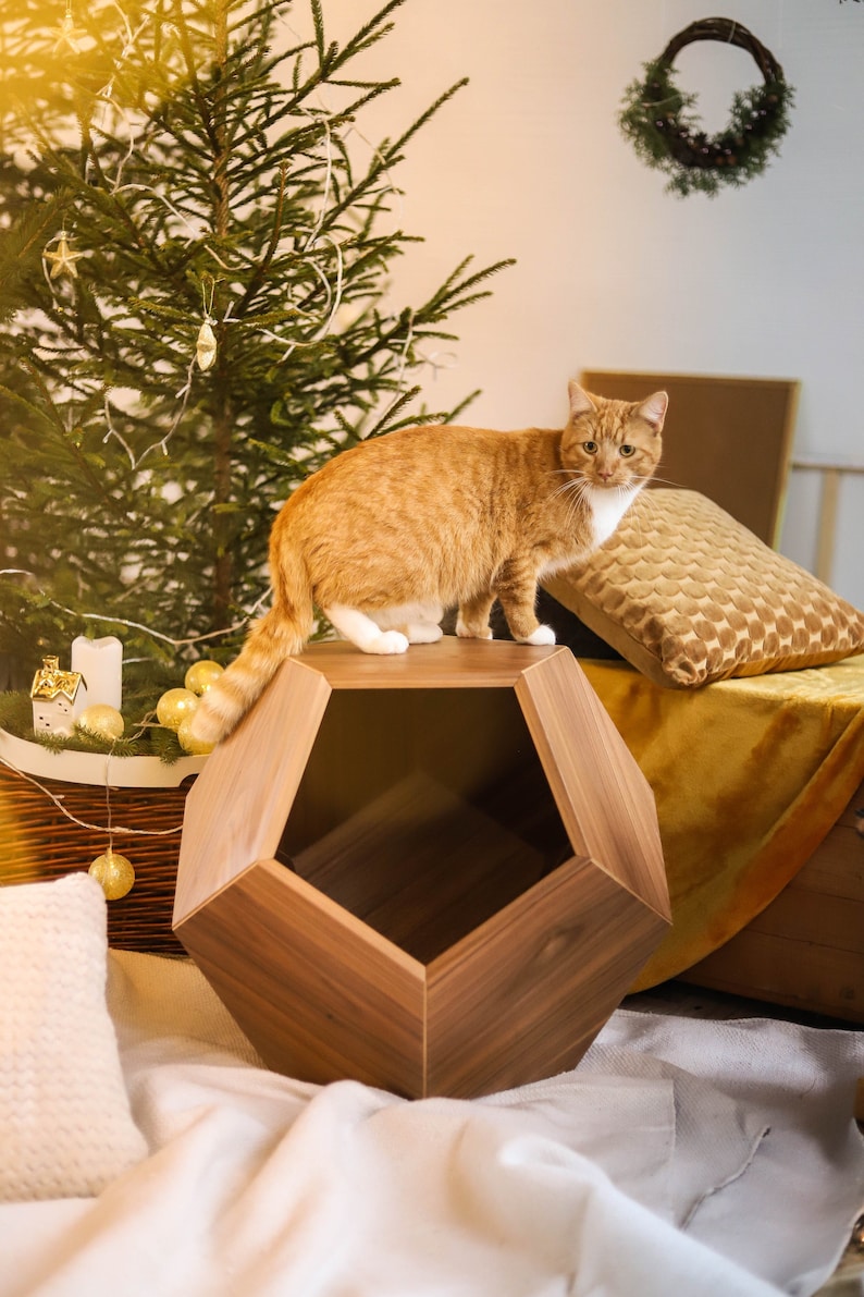 Katzenbett Polyeder