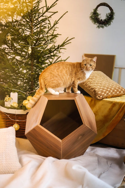 Katzenbett Polyeder