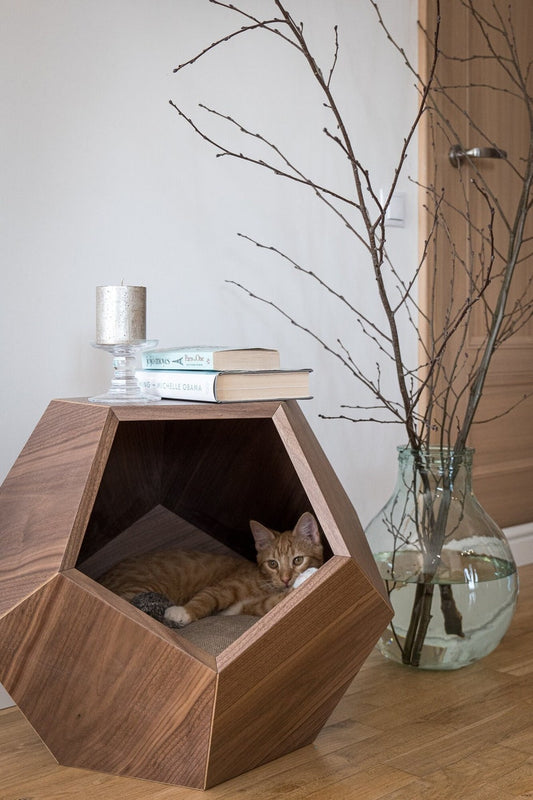 Katzenbett Polyeder