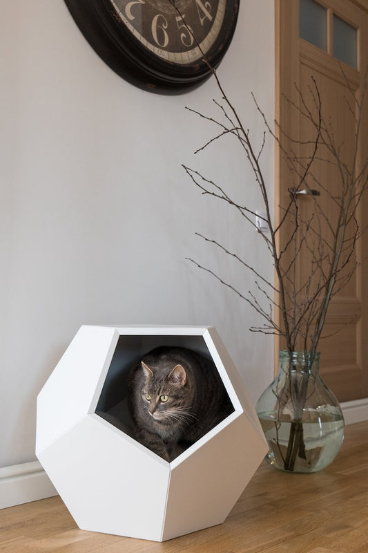 Katzenbett Polyeder