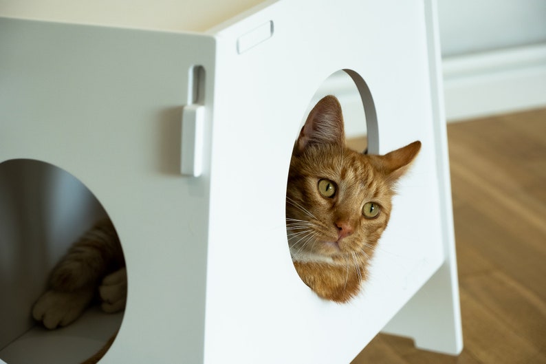 Cat bed "SHUSH"