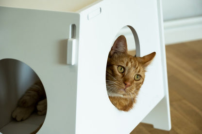 Cat bed "SHUSH"