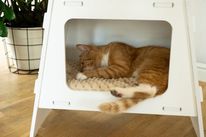 Katzenbett "TV"