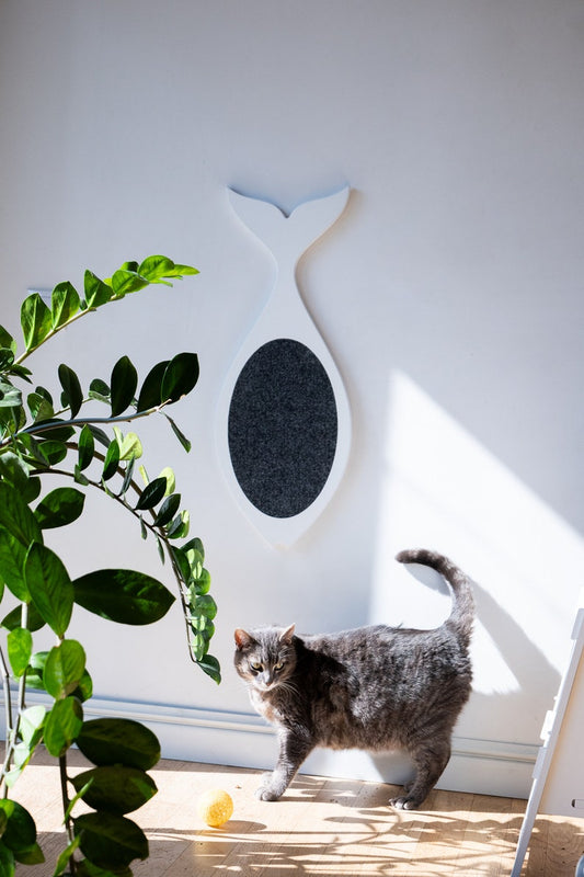 Katzenkratzbaum "FISCH"